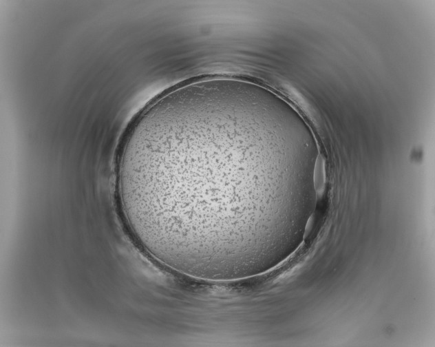 X0000090430787200707272130