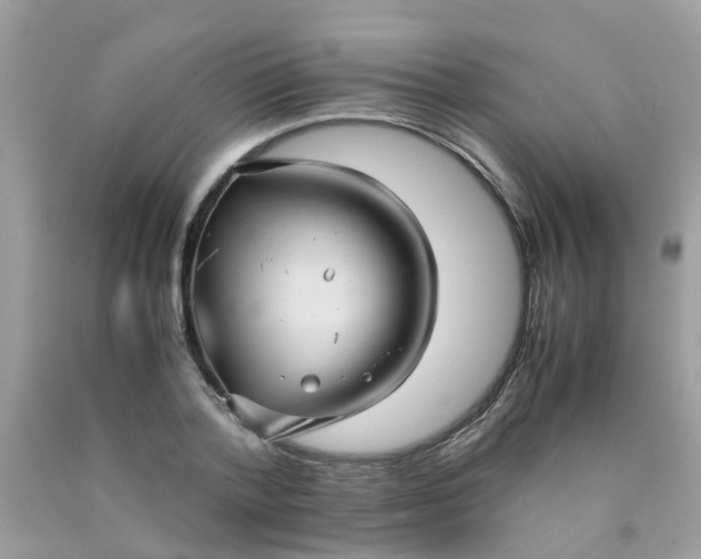 X0000090430788200707272130