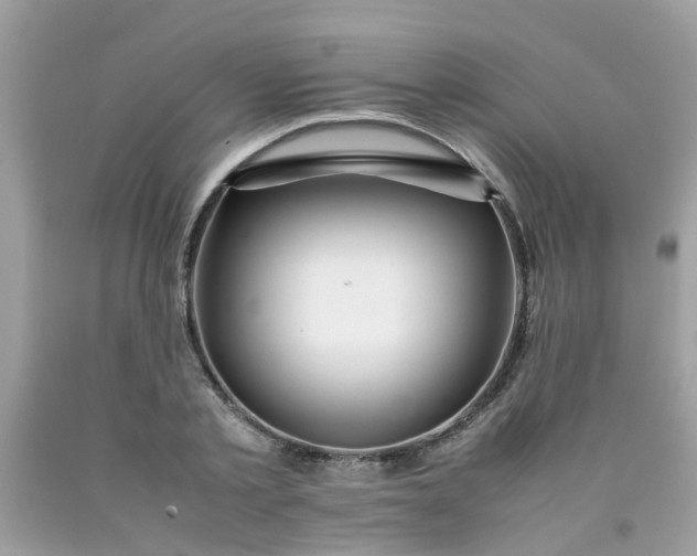 X0000090430789200707272130