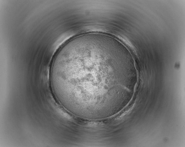 X0000090430790200707272130