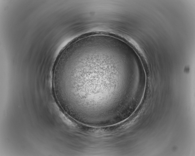 X0000090430791200707272130