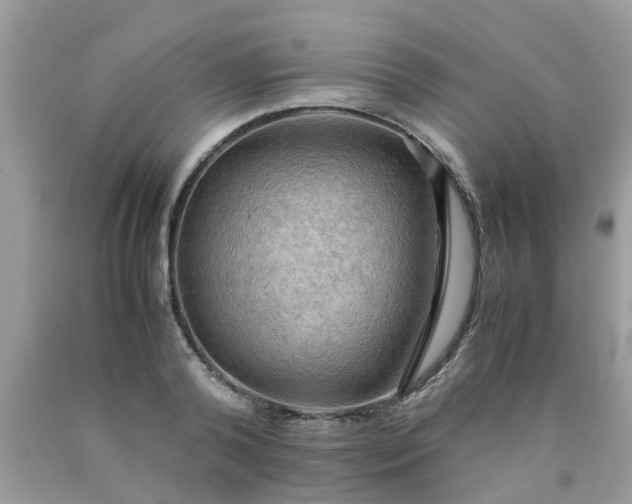 X0000090430792200707272130