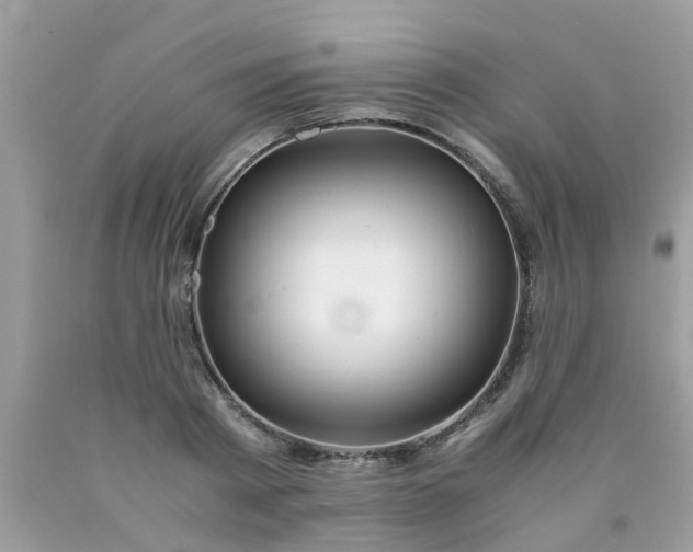 X0000090430793200707272130