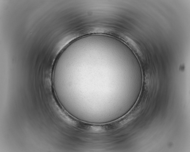 X0000090430794200707272130