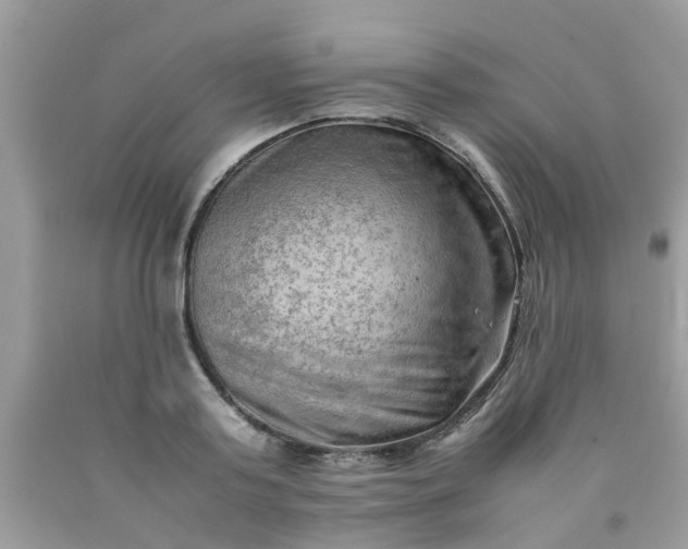 X0000090430795200707272130