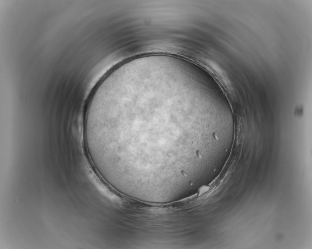 X0000090430796200707272130