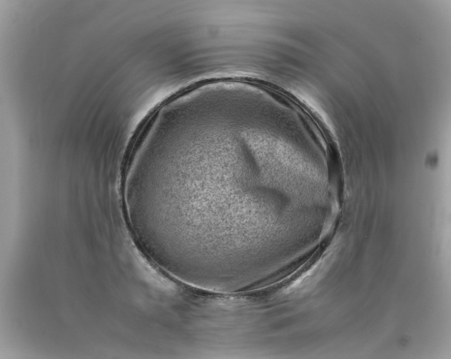 X0000090430797200707272130