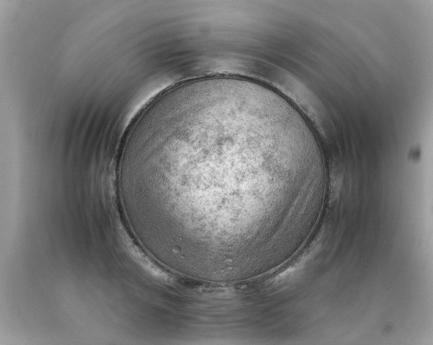 X0000090430798200707272130