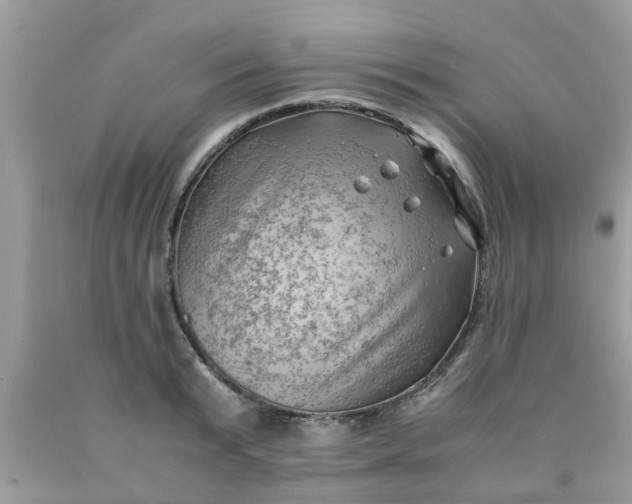 X0000090430799200707272130