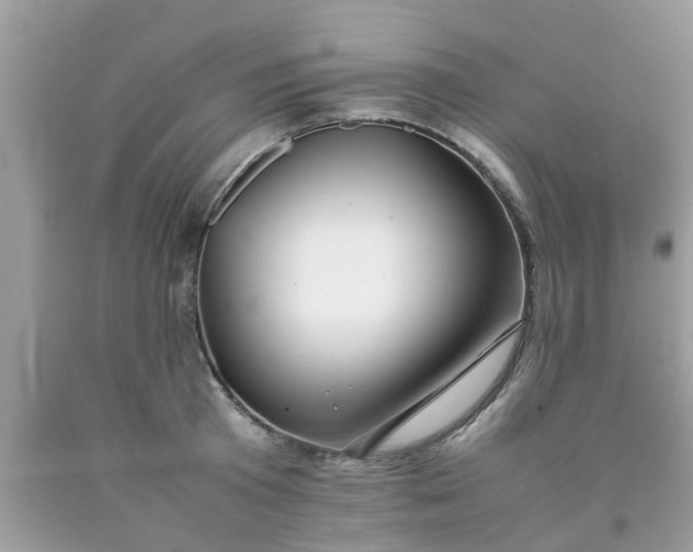 X0000090430801200707272130