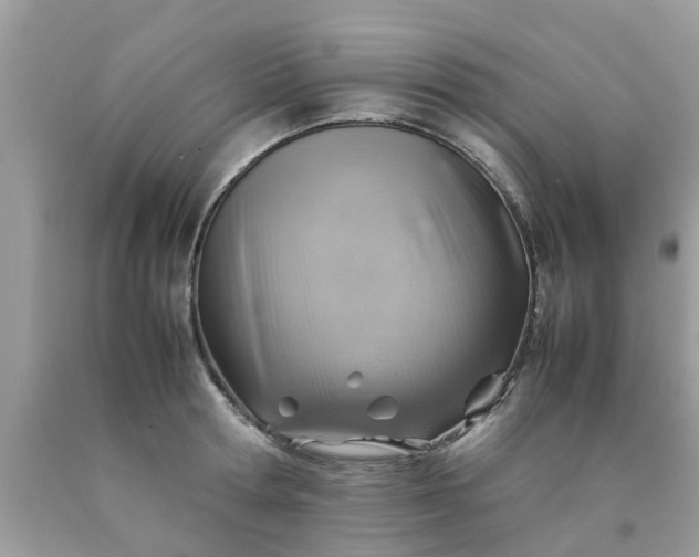 X0000090430802200707272130