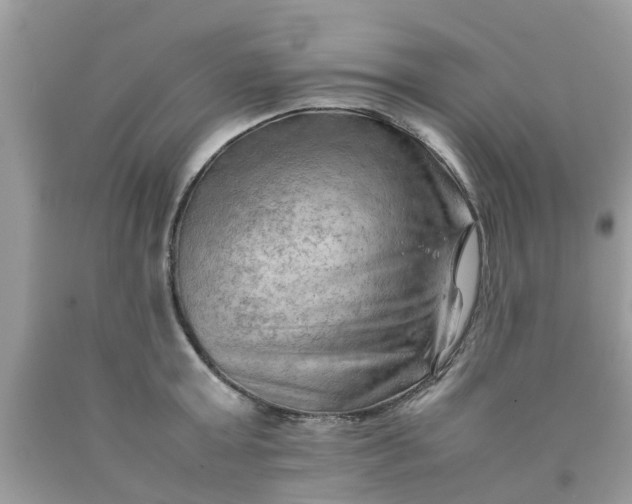 X0000090430803200707272130