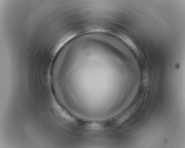 X0000090430806200707272130