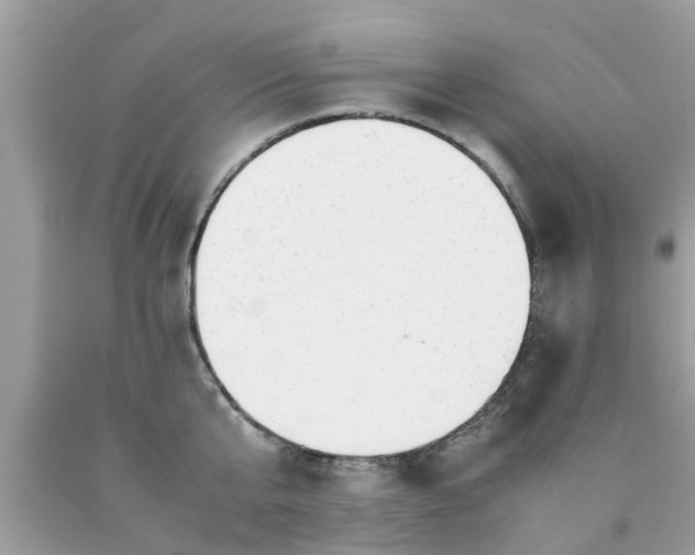 X0000090430807200707272130