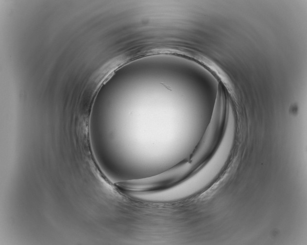 X0000090430809200707272130