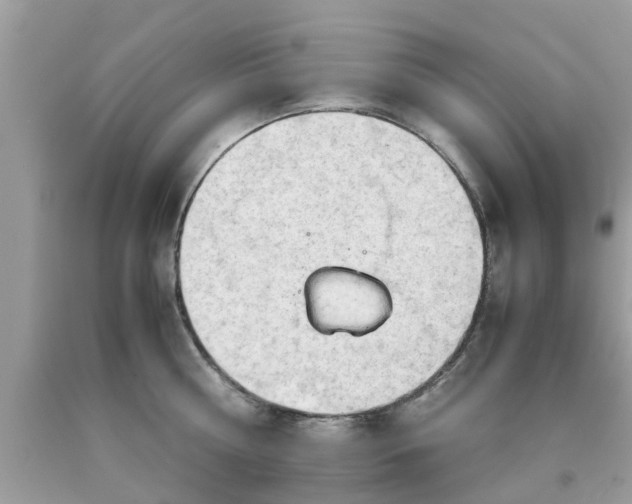 X0000090430810200707272130