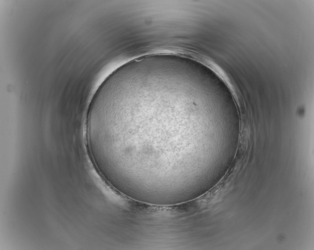 X0000090430811200707272130