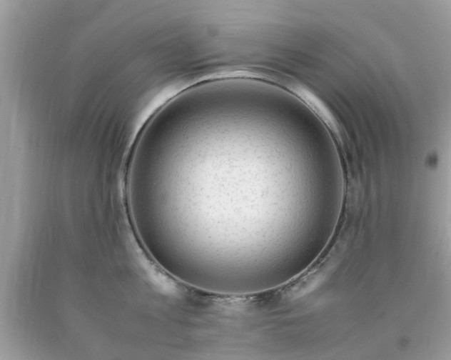 X0000090430813200707272130