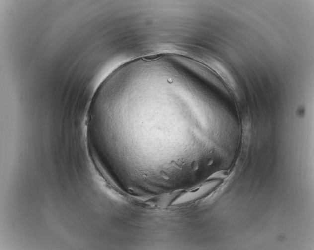 X0000090430814200707272130