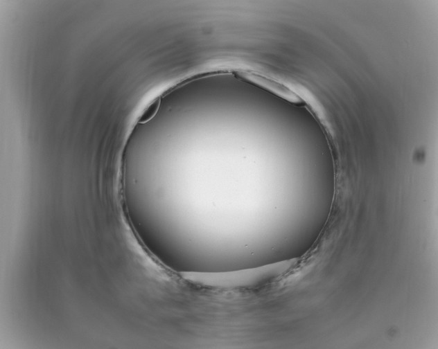 X0000090430815200707272130