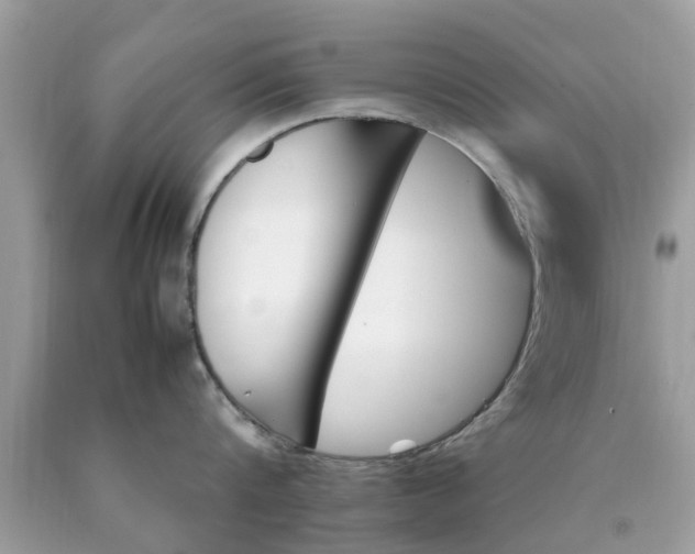 X0000090430816200707272130