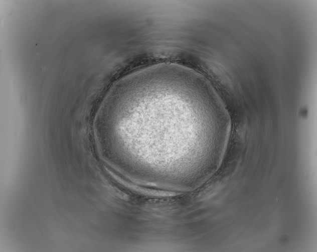 X0000090430817200707272129