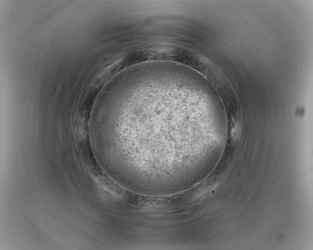 X0000090430819200707272129