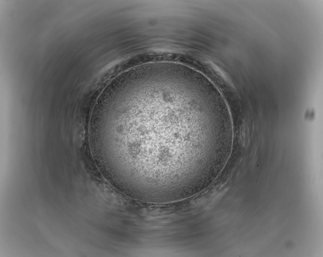 X0000090430821200707272129