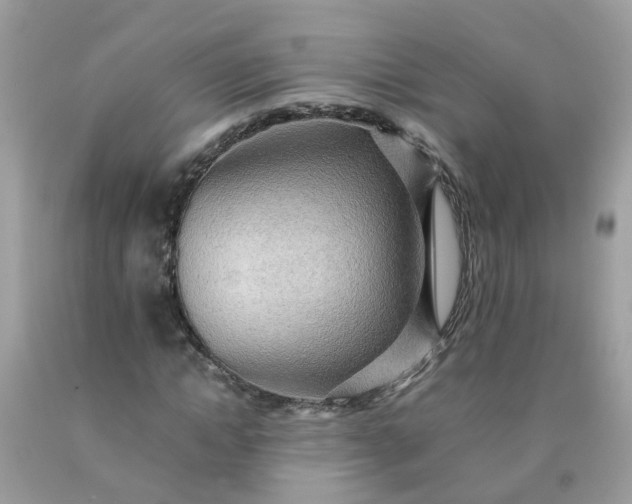 X0000090430822200707272129