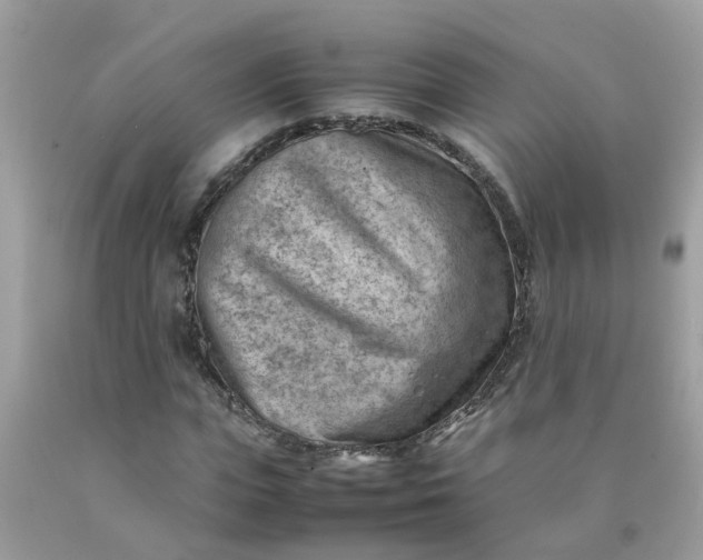 X0000090430823200707272129