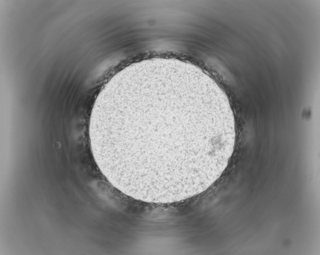 X0000090430824200707272130