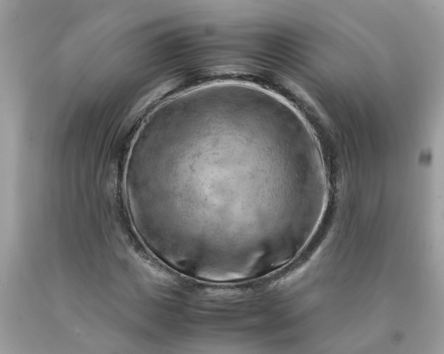 X0000090430825200707272130