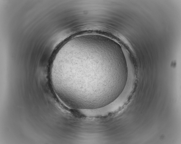 X0000090430826200707272130