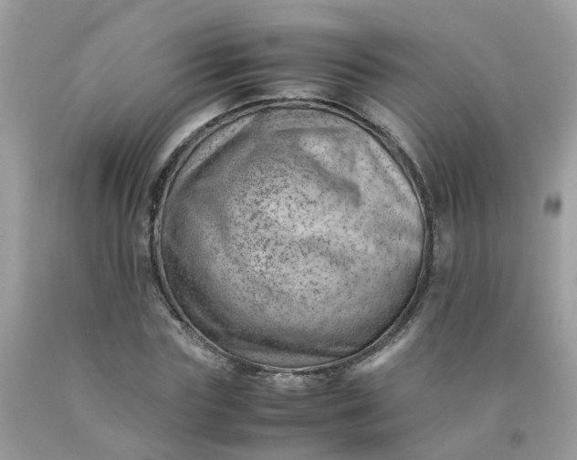 X0000090430827200707272130