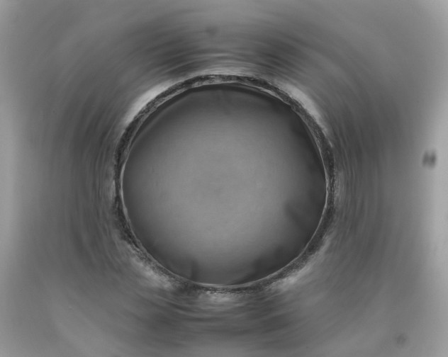 X0000090430829200707272130