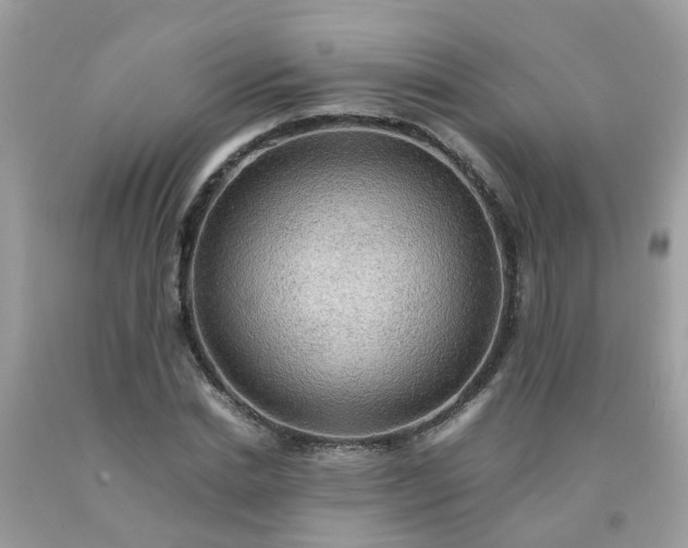 X0000090430830200707272130