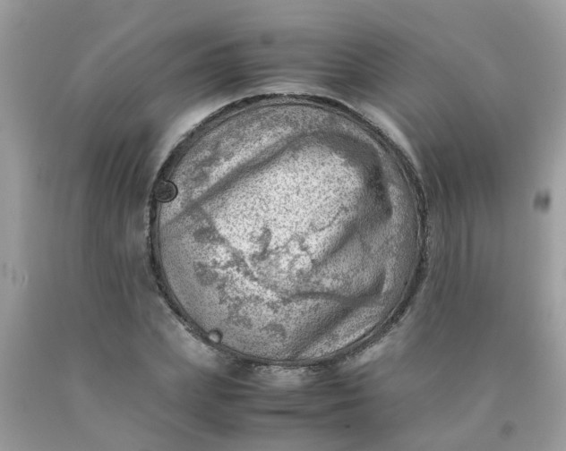 X0000090430831200707272130