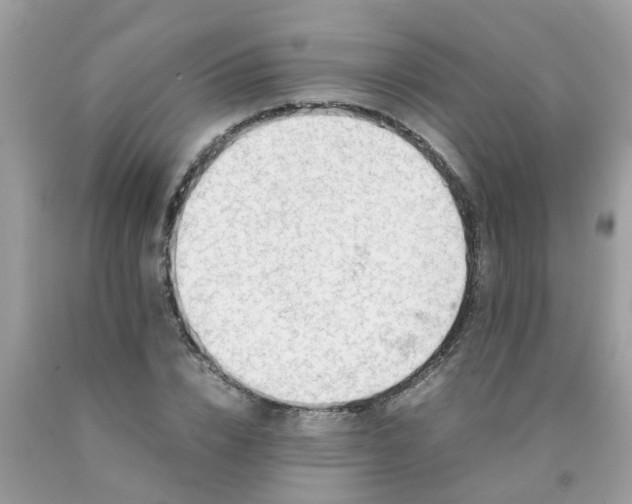 X0000090430832200707272130