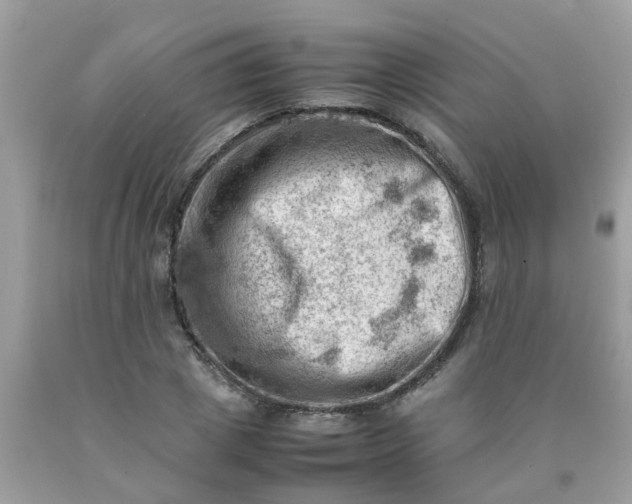 X0000090430833200707272130