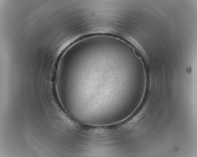 X0000090430834200707272130