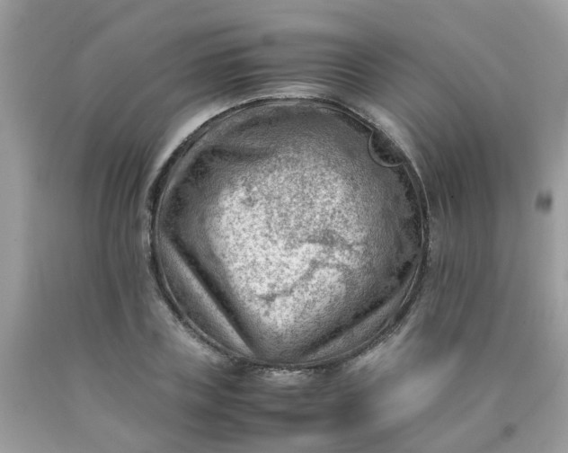 X0000090430835200707272130