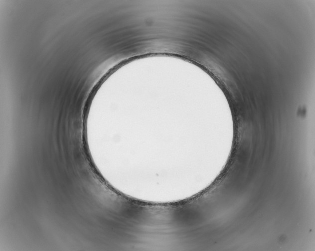 X0000090430836200707272130