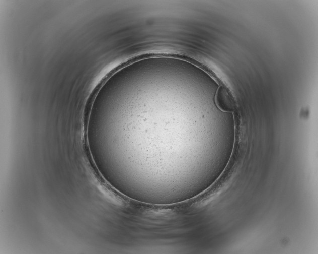 X0000090430837200707272130