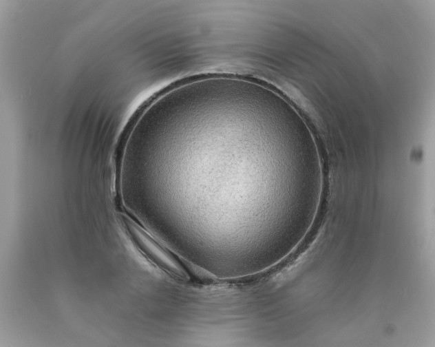 X0000090430838200707272130