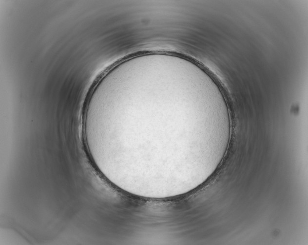 X0000090430840200707272130