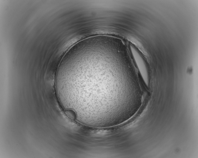 X0000090430841200707272130