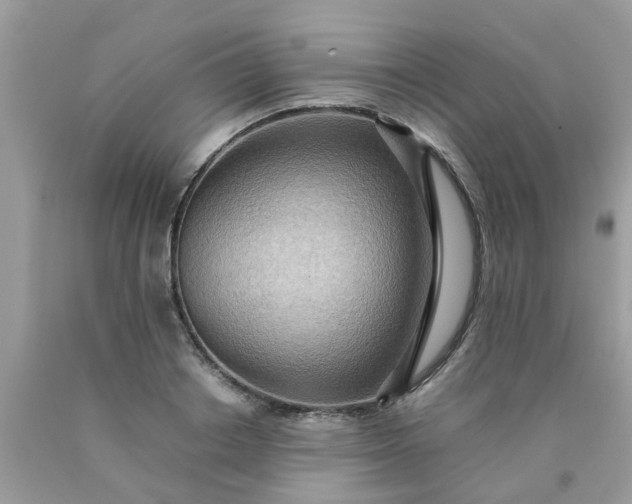 X0000090430842200707272130