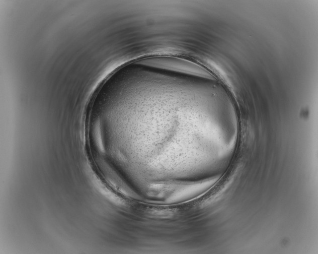 X0000090430843200707272130