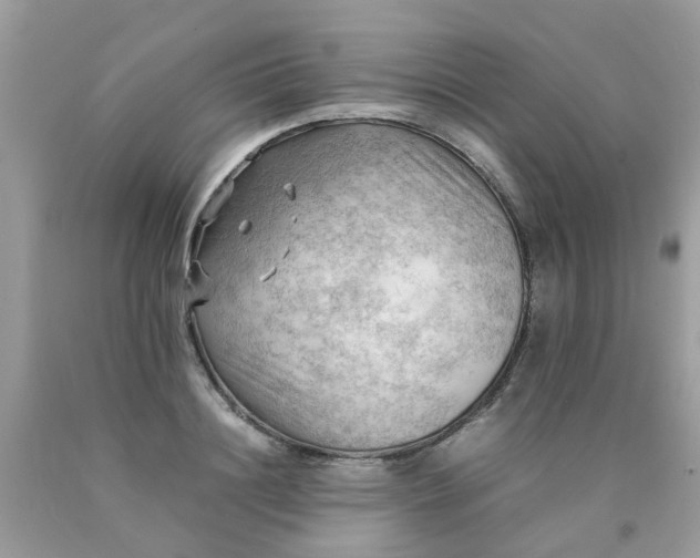 X0000090430844200707272130