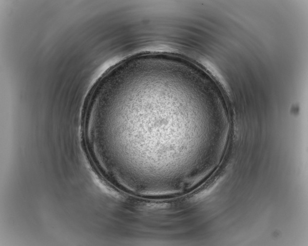 X0000090430845200707272130